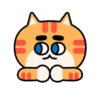 Gatos amigos 13