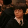 Harry Potter 13