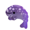 Animais marinhos 16