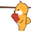 Shiba Boxing Club Mov 8