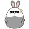 chubby Rabbit Mov 12