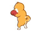Shiba Boxing Club Mov 9