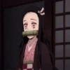 NEZUKO(DEMON SLAYER) 21