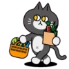 Gatos amigos 17