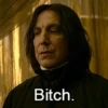 Harry Potter 15