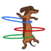 Dachshund🐶🤎.MOV 18