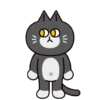 Gatos amigos 19