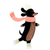 Dachshund🐶🤎.MOV 19