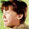 Harry Potter 16