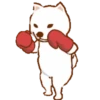 Shiba Boxing Club Mov 10
