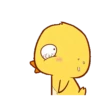 Цыпленок с движением 9