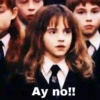 Harry Potter 17