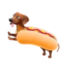 Dachshund🐶🤎.MOV 23