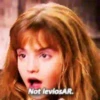 Harry Potter 19