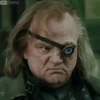 Harry Potter 20
