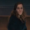 Harry Potter 21