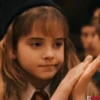 Harry Potter 22