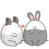 chubby Rabbit Mov 15