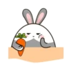 chubby Rabbit Mov 16