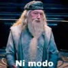 Harry Potter 24