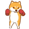 Shiba Boxing Club Mov 13