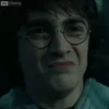 Harry Potter 27