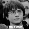 Harry Potter 28