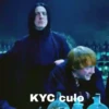 Harry Potter 29