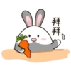 chubby Rabbit Mov 18
