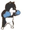 Shiba Boxing Club Mov 14