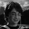 Harry Potter 31