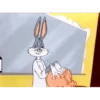 BUGS BUNNY MEMES.MOV 20