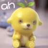 Lemon dog 5