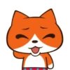 Gato Naranjo 2