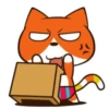 Gato Naranjo 3