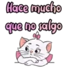 🐈Kitty Marie 2🐈 Mov 8