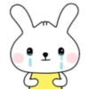 Phunny Bunny 5