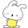 Phunny Bunny 6