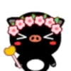 Cerdito negro 7