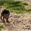 ungran dinosaurio 7
