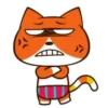 Gato Naranjo 4