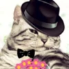 Gatitos Graciosos.MOV 9