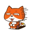Gato Naranjo 5