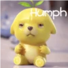 Lemon dog 9