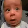 Babies 9