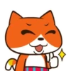 Gato Naranjo 6