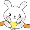 Phunny Bunny 10