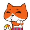 Gato Naranjo 7
