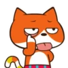 Gato Naranjo 8