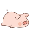 Puerquitocute 5